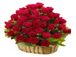 Magnificent Red Roses - 36 Stems Basket